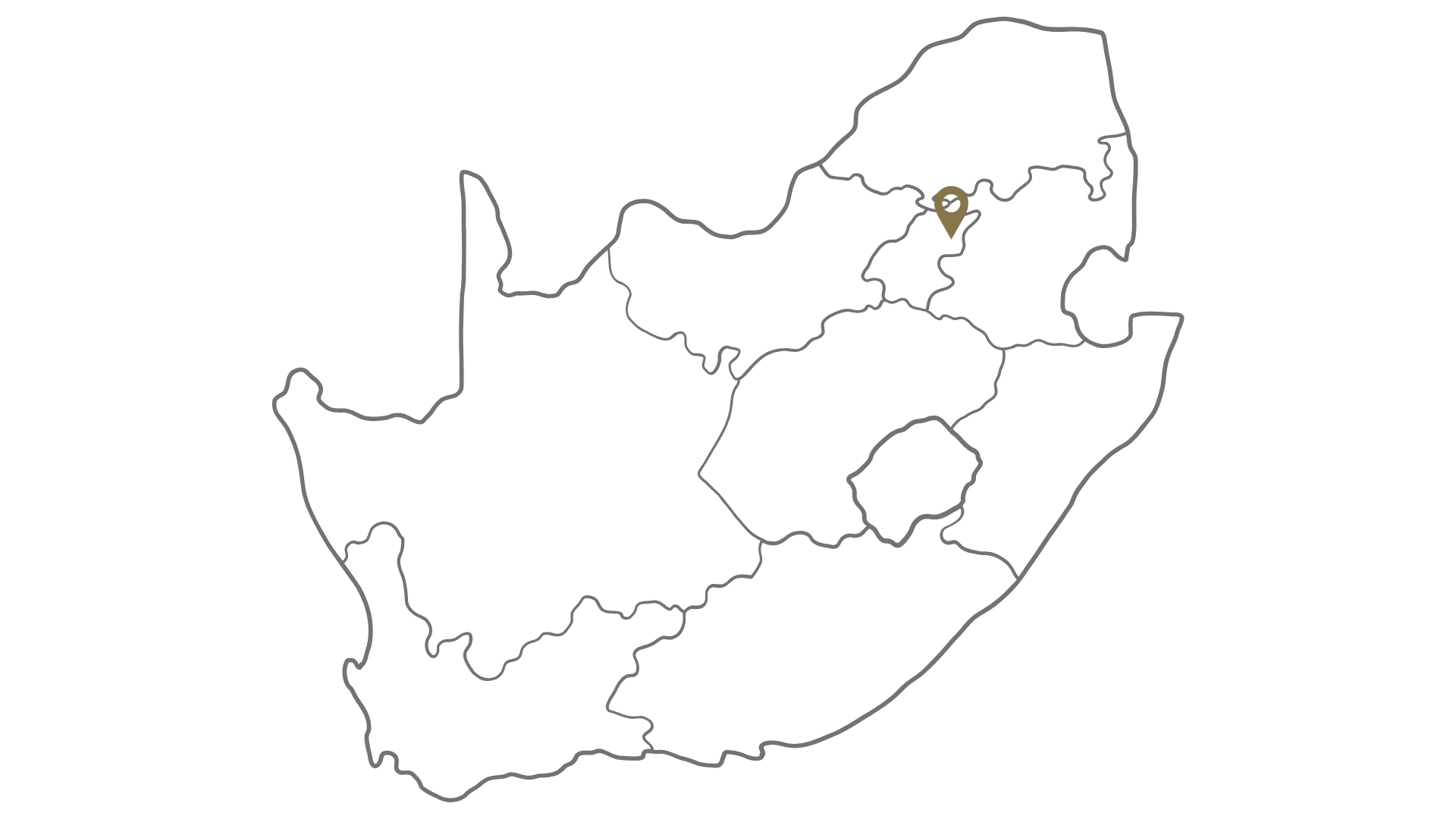 Tactical security team in action, Boksburg, South Africa